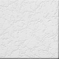Acoustical Ceiling Tiles