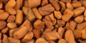 Fenugreek Extract