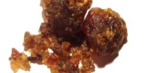 Gymnemic Acid