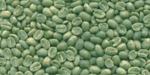 Licorice Extract