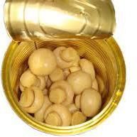 Canned Mushroom