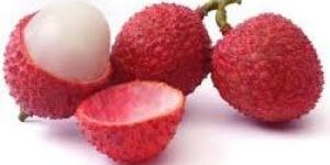 Fresh Litchi