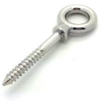 Stainless Steel Eye Bolts