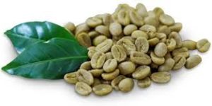 Green Coffee Beans