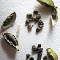 Cardamom Seeds