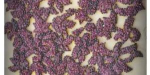 Sequins Buta Embroidery Work