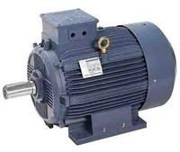 Single Phase Electric Motor