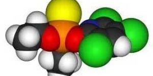 Chlorpyrifos Insecticide