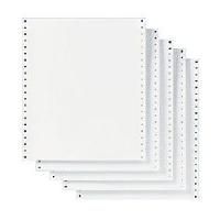 Pre Printed Continuous Stationery