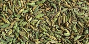 Fennel Seeds