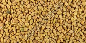 Fenugreek Seeds