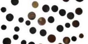 Horn Bone Button Blanks