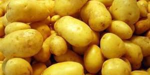 Potato