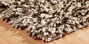 Fancy Shaggy Rug