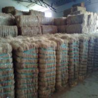 Coir Fibre