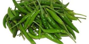 Fresh Green Chilli