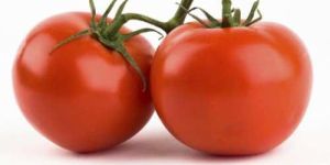 Fresh Tomato