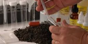 Soil Testing Services