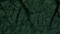 Green Marble