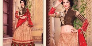 Designer Lehnga Choli - Angle