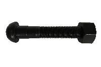 Fish Bolt