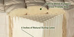 Elastoflex Natural Foam Rubber Mattresses