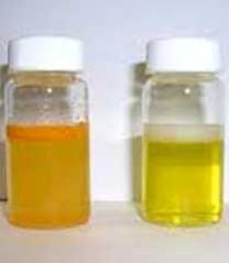Curcumin Extract