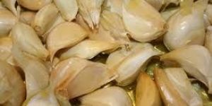 Garlic