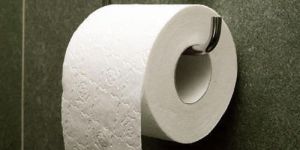 Toilet Paper Rolls