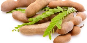 Tamarind