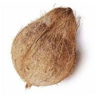 Coconut