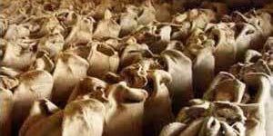 Jute Cloth, Jute Yarns