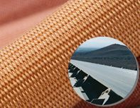 Belting Fabrics