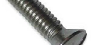 Oval Head Screw