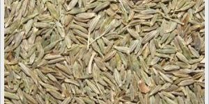 Cumin Seeds