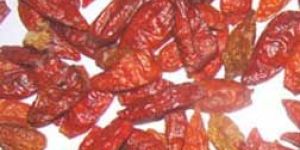 Dried Red Chillies