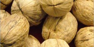 Walnuts
