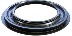 Oil Seals