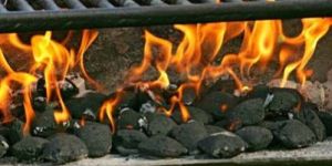 Coconut Shell Charcoal Briquettes