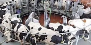 Dairy Farm Equipment