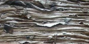 Wet Salted Animal Skin