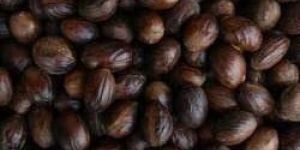 Shelled Nutmegs