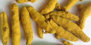 Turmeric Fingers