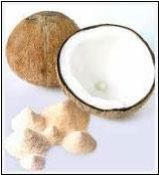 Coconut Milk Powder