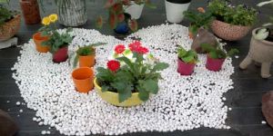 Garden Decorative Items