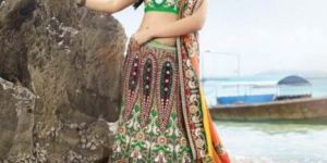 Embroidered Lehenga Choli