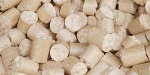 Biomass Briquettes