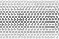 Hexagonal Mesh