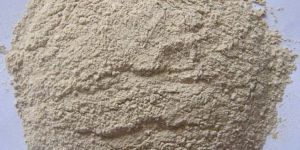 Dehydrated Garlic Powder