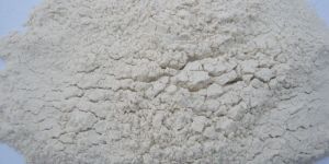 Dehydrated White Onion Powder